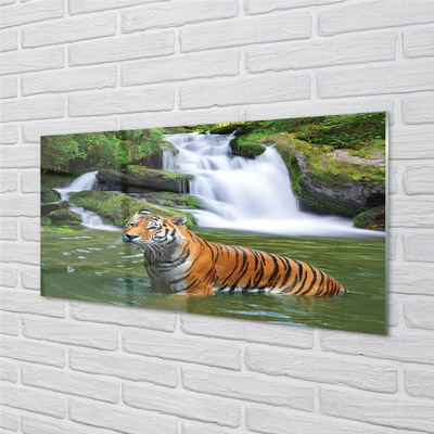Nástenný panel  tiger vodopád