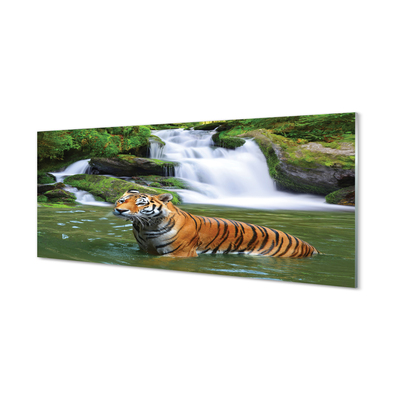 Nástenný panel  tiger vodopád
