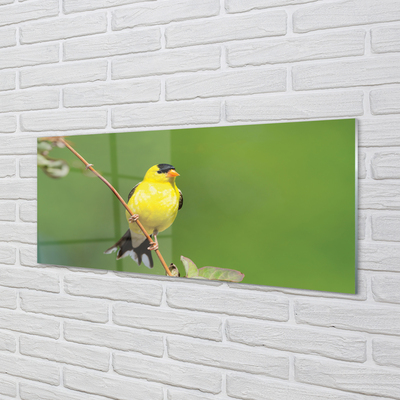 Nástenný panel  žltý papagáj