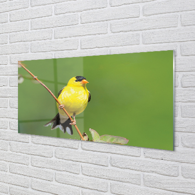 Nástenný panel  žltý papagáj