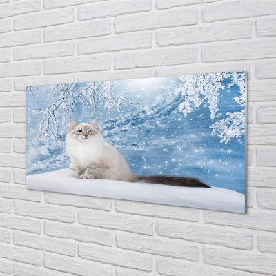 Nástenný panel  mačka zima