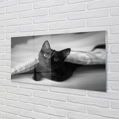 Nástenný panel  Mačka pod prikrývkou