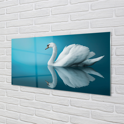 Nástenný panel  Swan vo vode