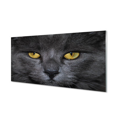 Nástenný panel  Čierna mačka