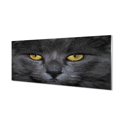 Nástenný panel  Čierna mačka