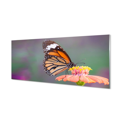 Nástenný panel  Farebný motýľ kvetina