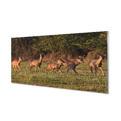 Nástenný panel  Deer Golf svitania