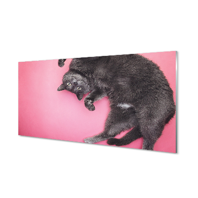 Nástenný panel  ležiace mačka