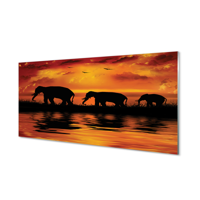 Nástenný panel  slony West Lake
