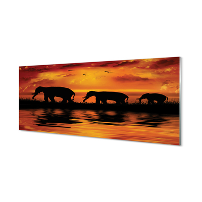 Nástenný panel  slony West Lake