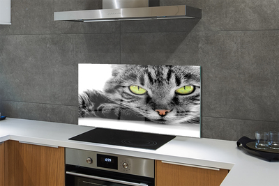 Nástenný panel  šedočierna mačka
