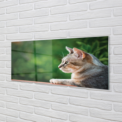 Nástenný panel  vyzerajúci mačka