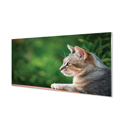 Nástenný panel  vyzerajúci mačka