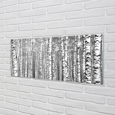 Nástenný panel  Čierna a biela strom