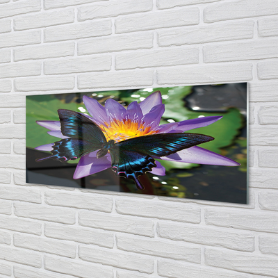 Nástenný panel  motýľ kvetina