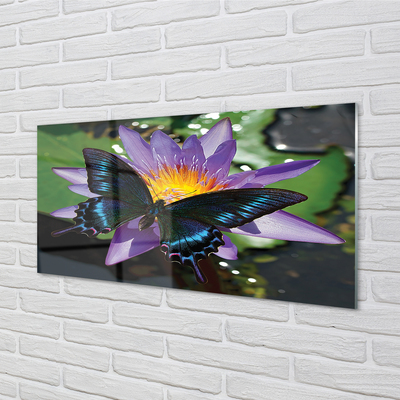 Nástenný panel  motýľ kvetina