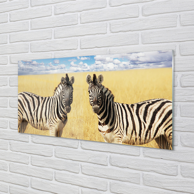 Nástenný panel  zebra box