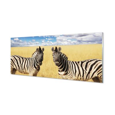 Nástenný panel  zebra box