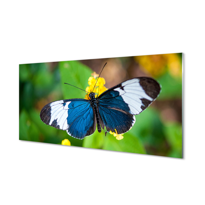 Nástenný panel  Farebný motýľ na kvety