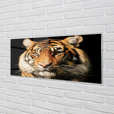 Nástenný panel  tiger