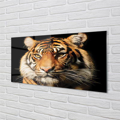Nástenný panel  tiger