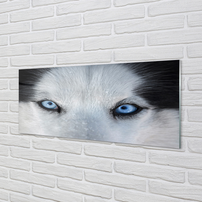 Nástenný panel  wolf Eyes
