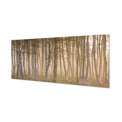 Nástenný panel  Sunrise strom les