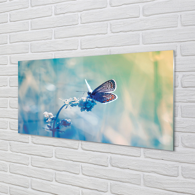 Nástenný panel  farebný motýľ