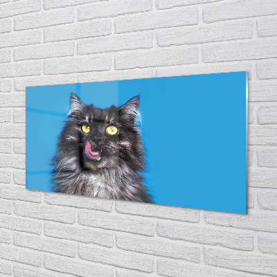 Nástenný panel  Oblizujący mačka