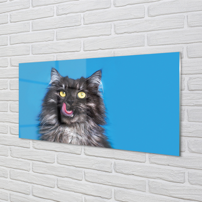 Nástenný panel  Oblizujący mačka