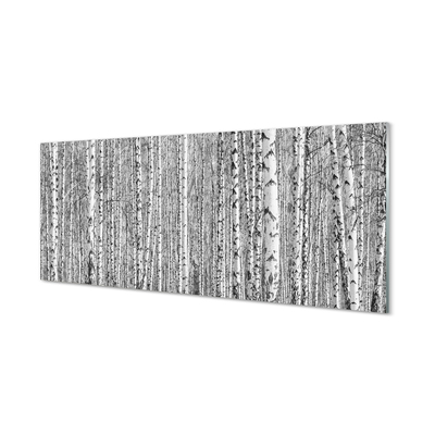 Nástenný panel  Čierna a biela strom les