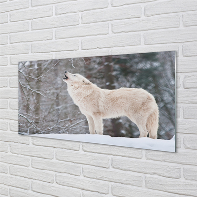 Nástenný panel  Vlk v zime lese