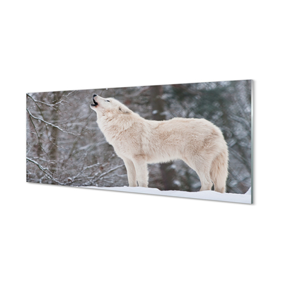 Nástenný panel  Vlk v zime lese