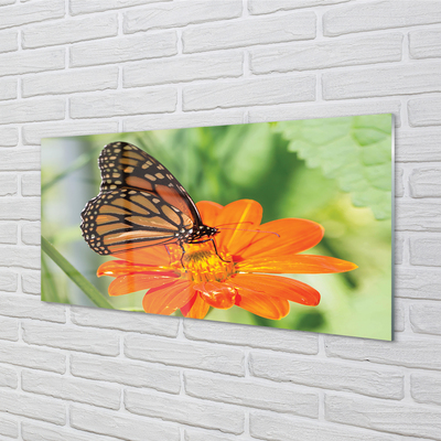 Nástenný panel  Kvet farebný motýľ