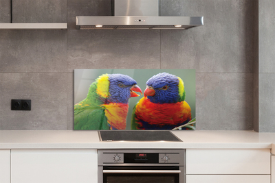 Nástenný panel  farebný papagáj