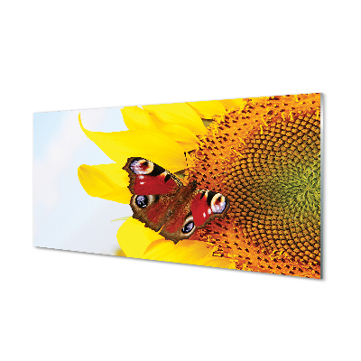 Nástenný panel  slnečnica motýľ