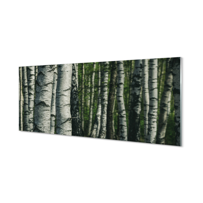 Nástenný panel  brezového lesa