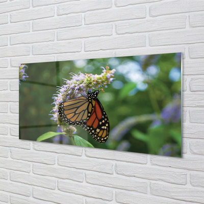 Nástenný panel  Kvet farebný motýľ