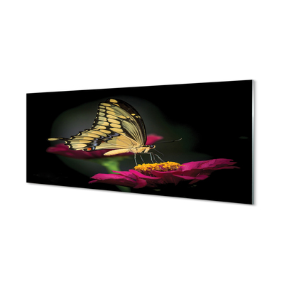 Nástenný panel  Motýľ na kvetine