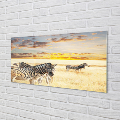 Nástenný panel  Zebry poľa sunset