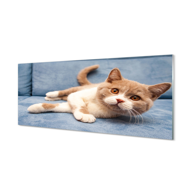 Nástenný panel  ležiace mačka