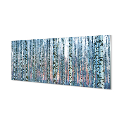 Nástenný panel  Brezového lesa pri západe slnka