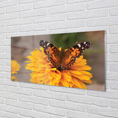 Nástenný panel  Farebný motýľ kvetina