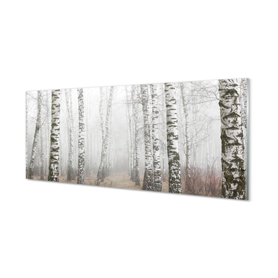Nástenný panel  hmla breza