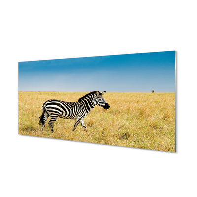 Nástenný panel  Zebra box