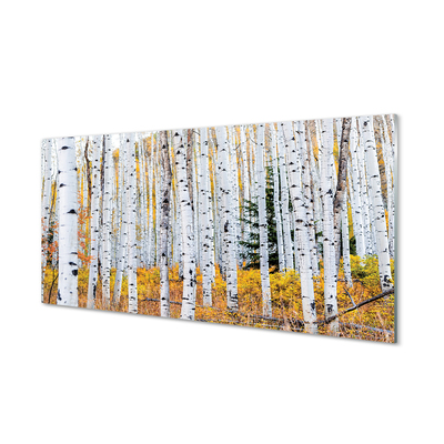 Nástenný panel  jesene breza