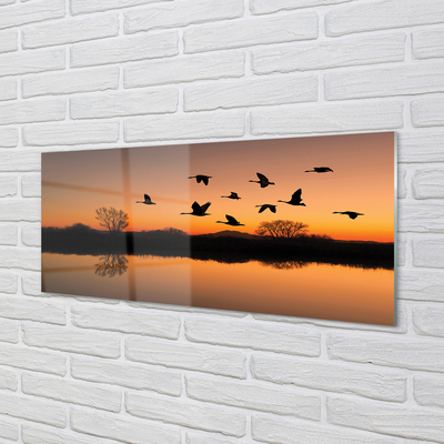 Nástenný panel  Lietajúce vtáky sunset