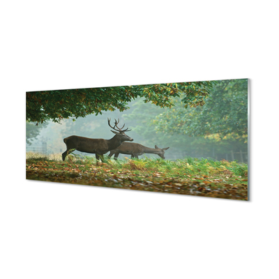 Nástenný panel  Jeleňa na jeseň les