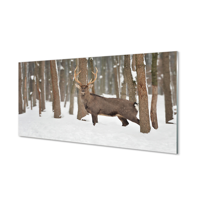 Nástenný panel  Jeleň zimné les