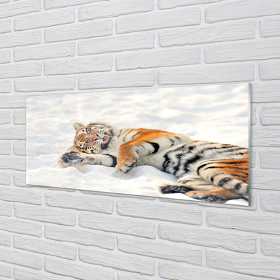 Nástenný panel  Tiger winter